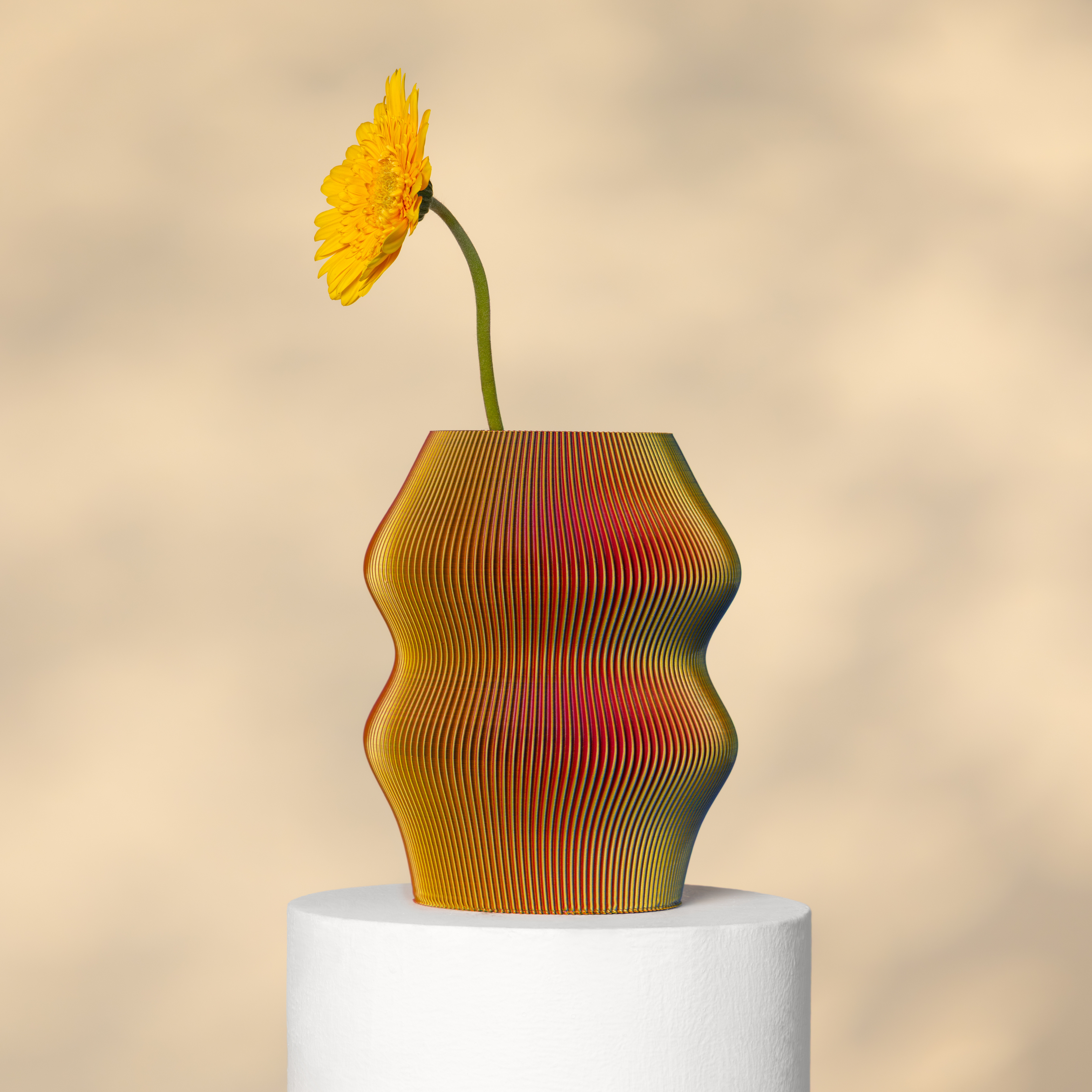 Phantom Vase RYB - 3D Printed