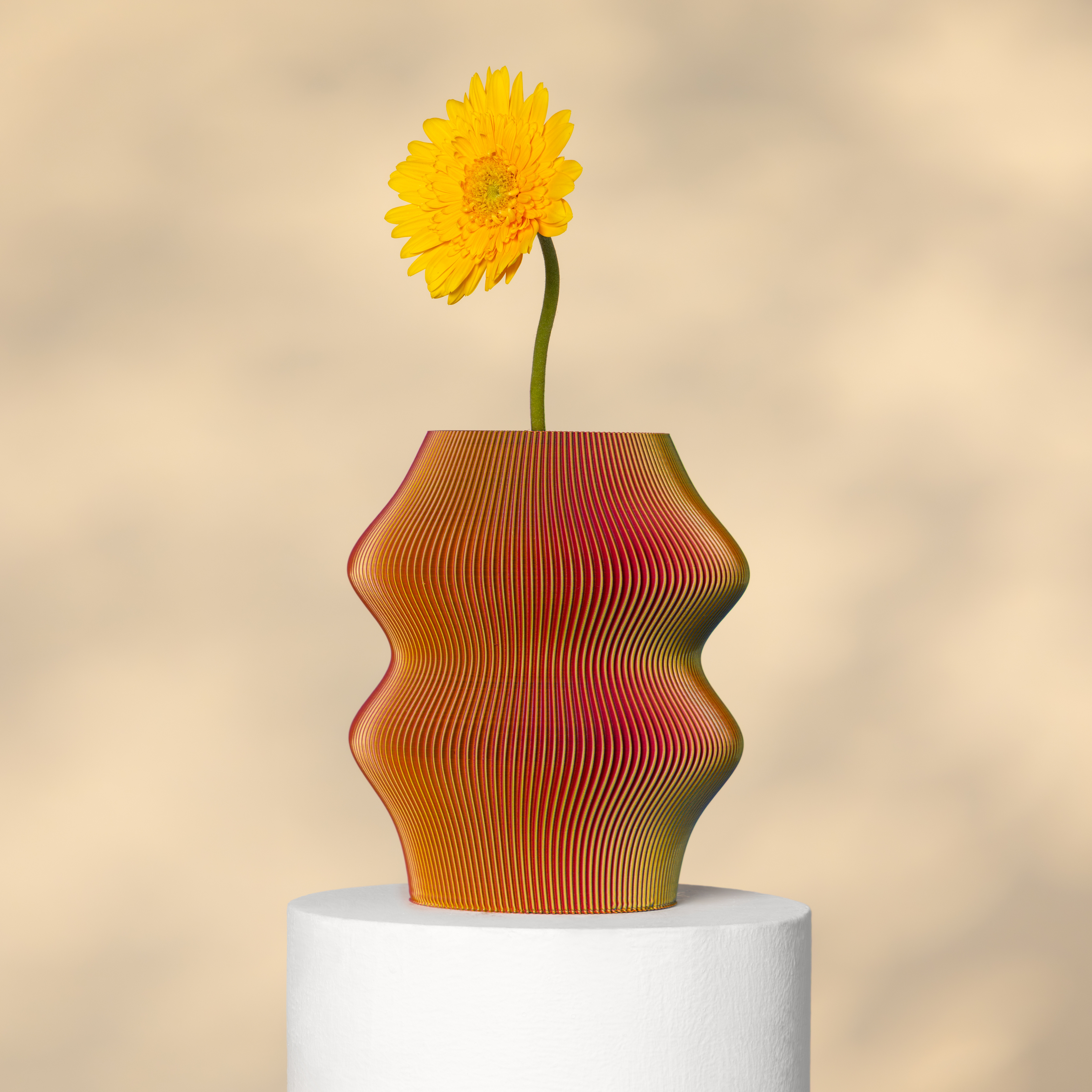 Phantom Vase RYB - 3D Printed