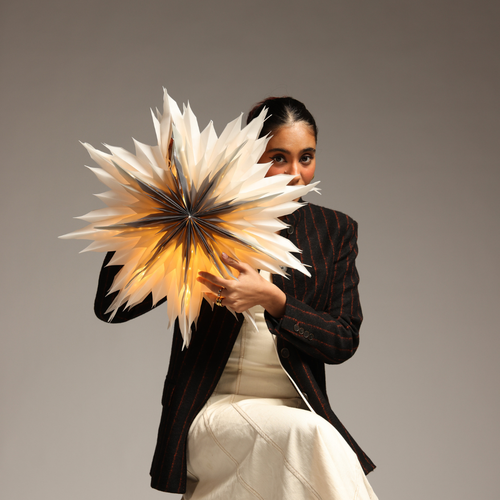 Snowflake Flower Festive Light - Christmas Decor Hanging