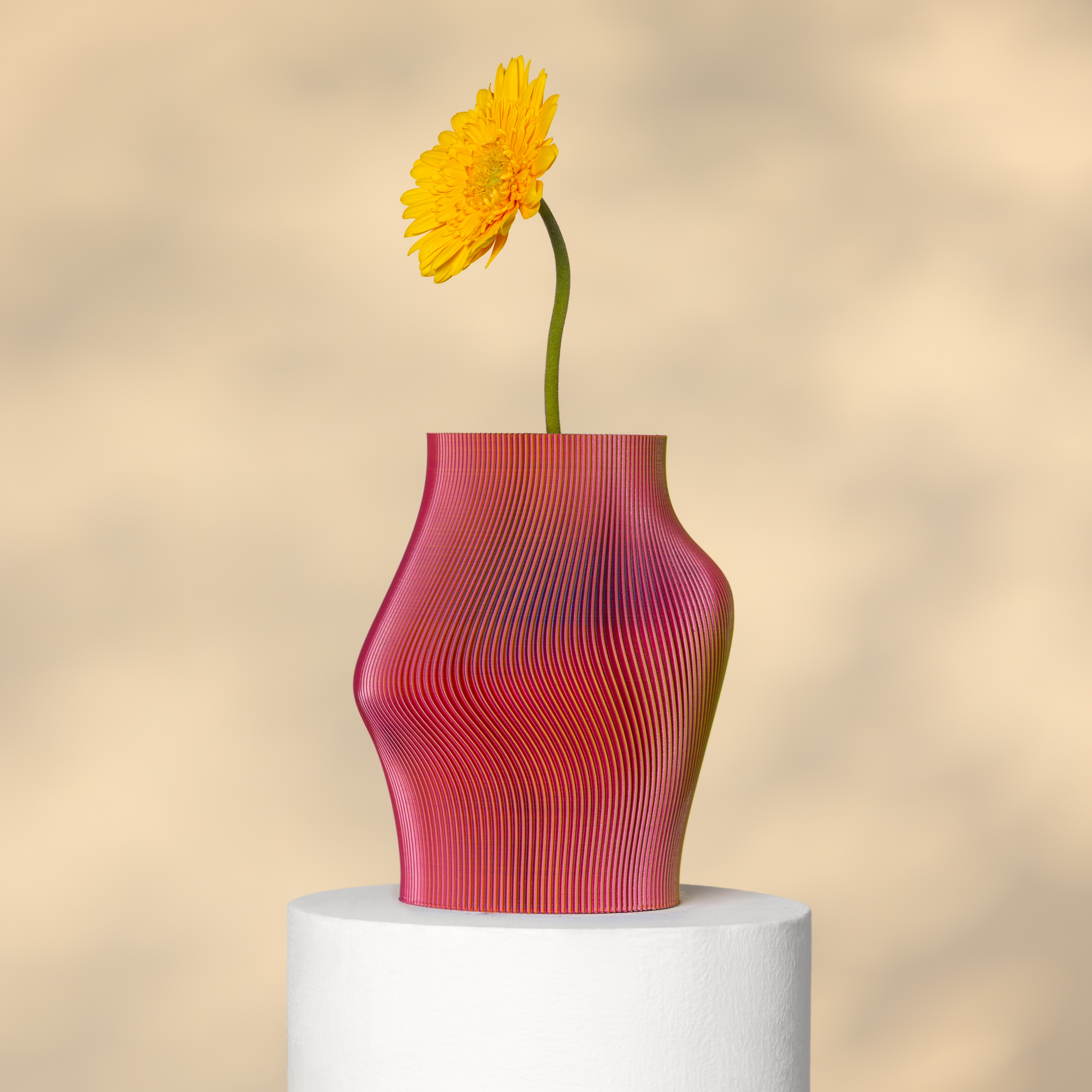 Muse Vase RY - 3D Printed