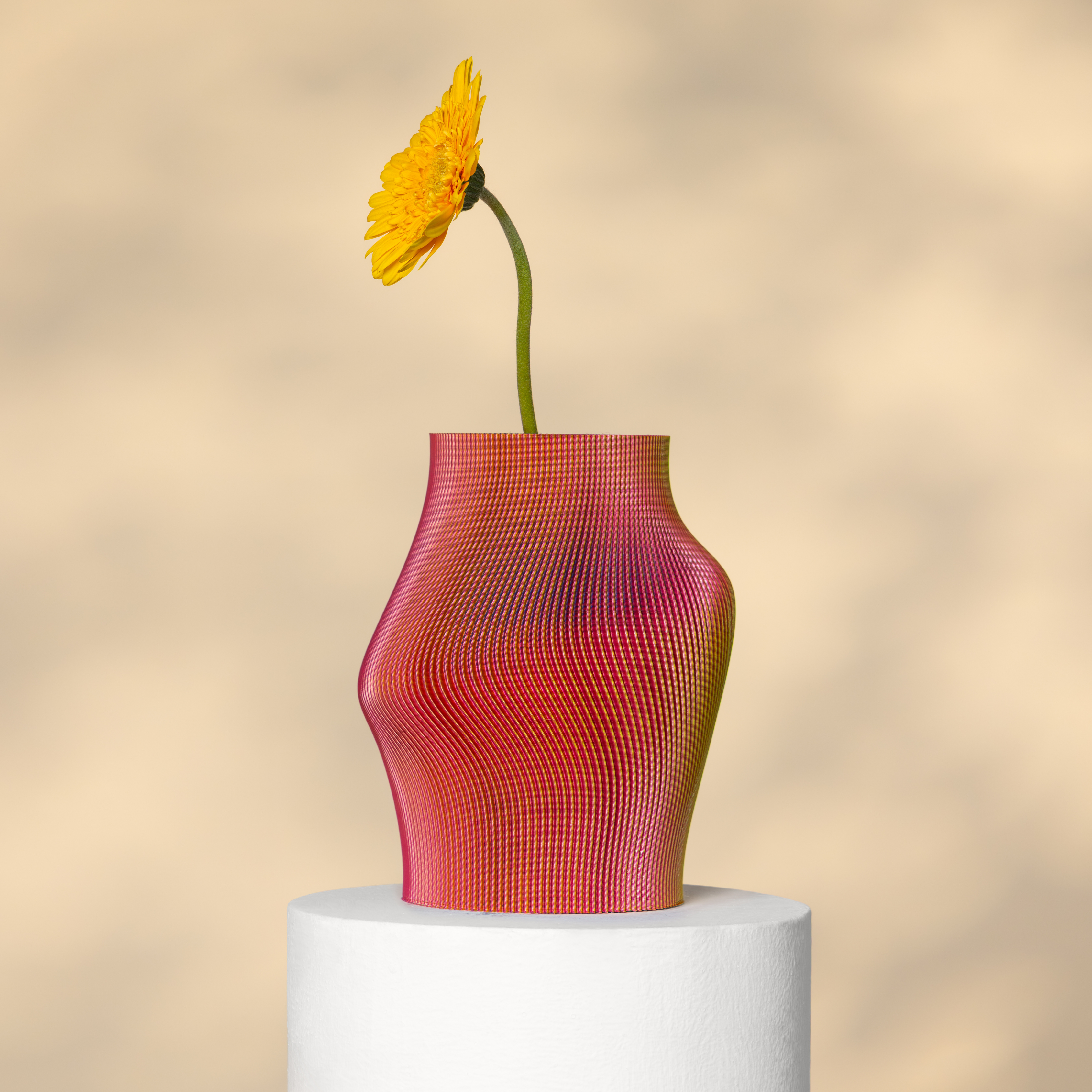 Muse Vase RY - 3D Printed