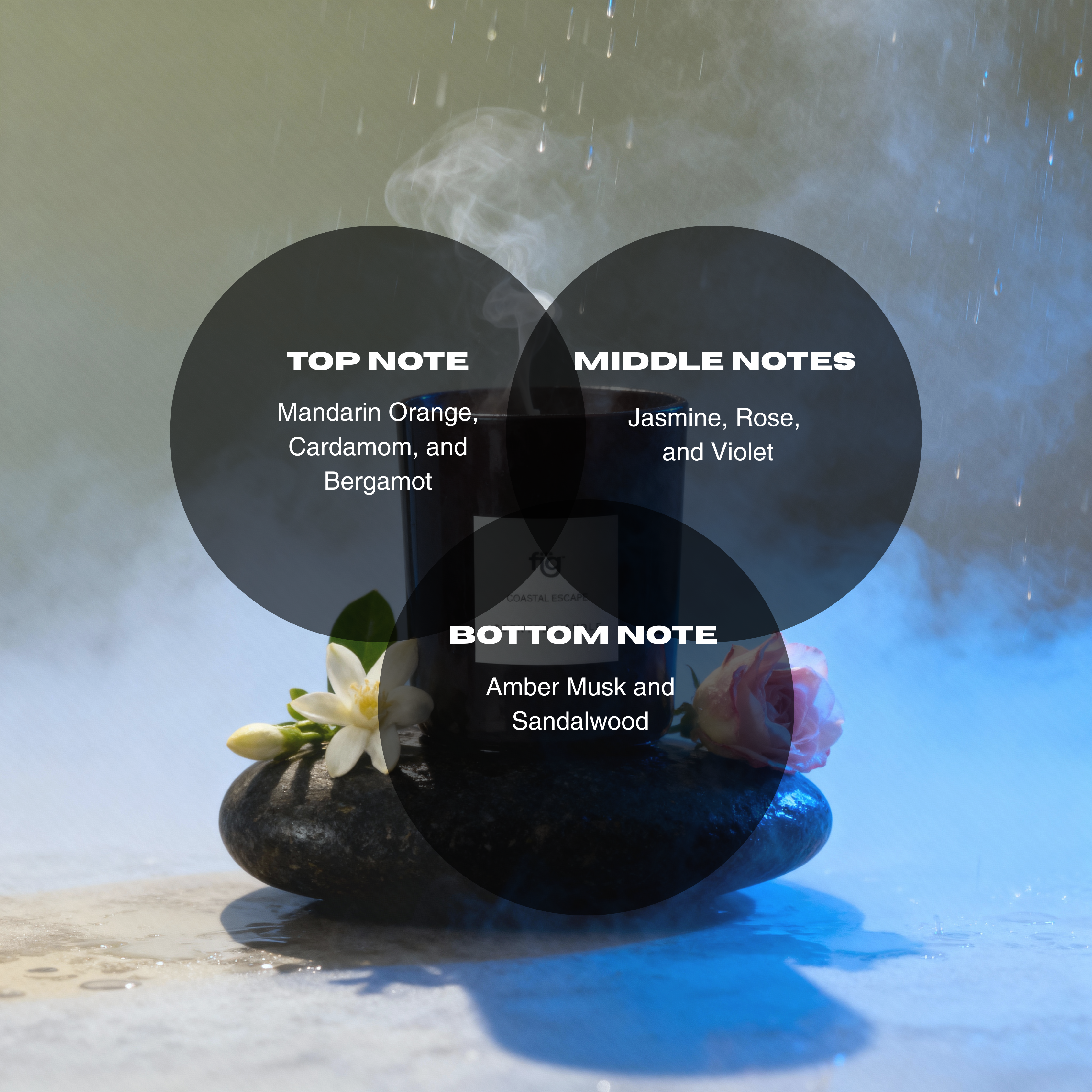 FIG COASTAL ESCAPE SCENTED CANDLE