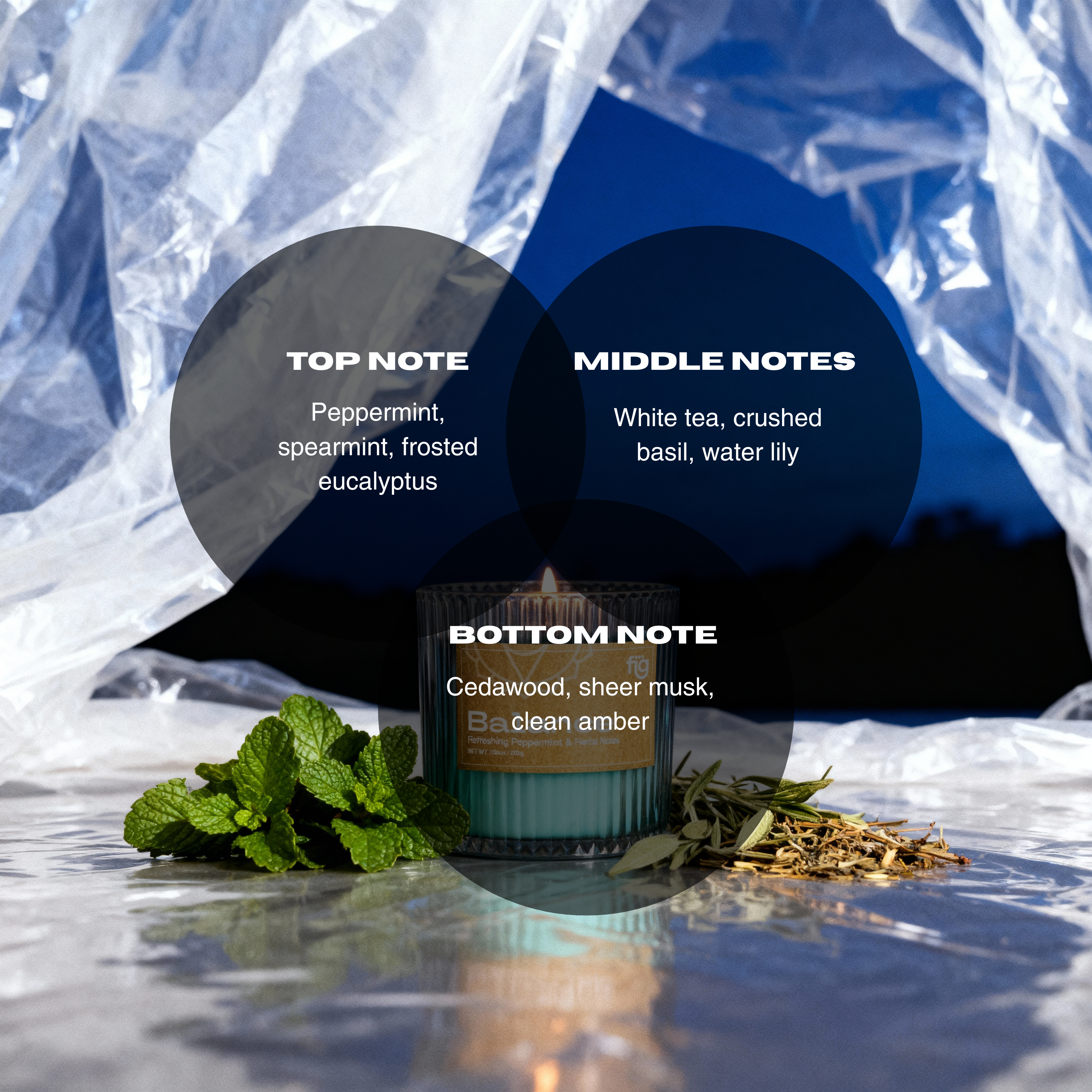 Balance Peppermint Vegan Wax Scented Candle