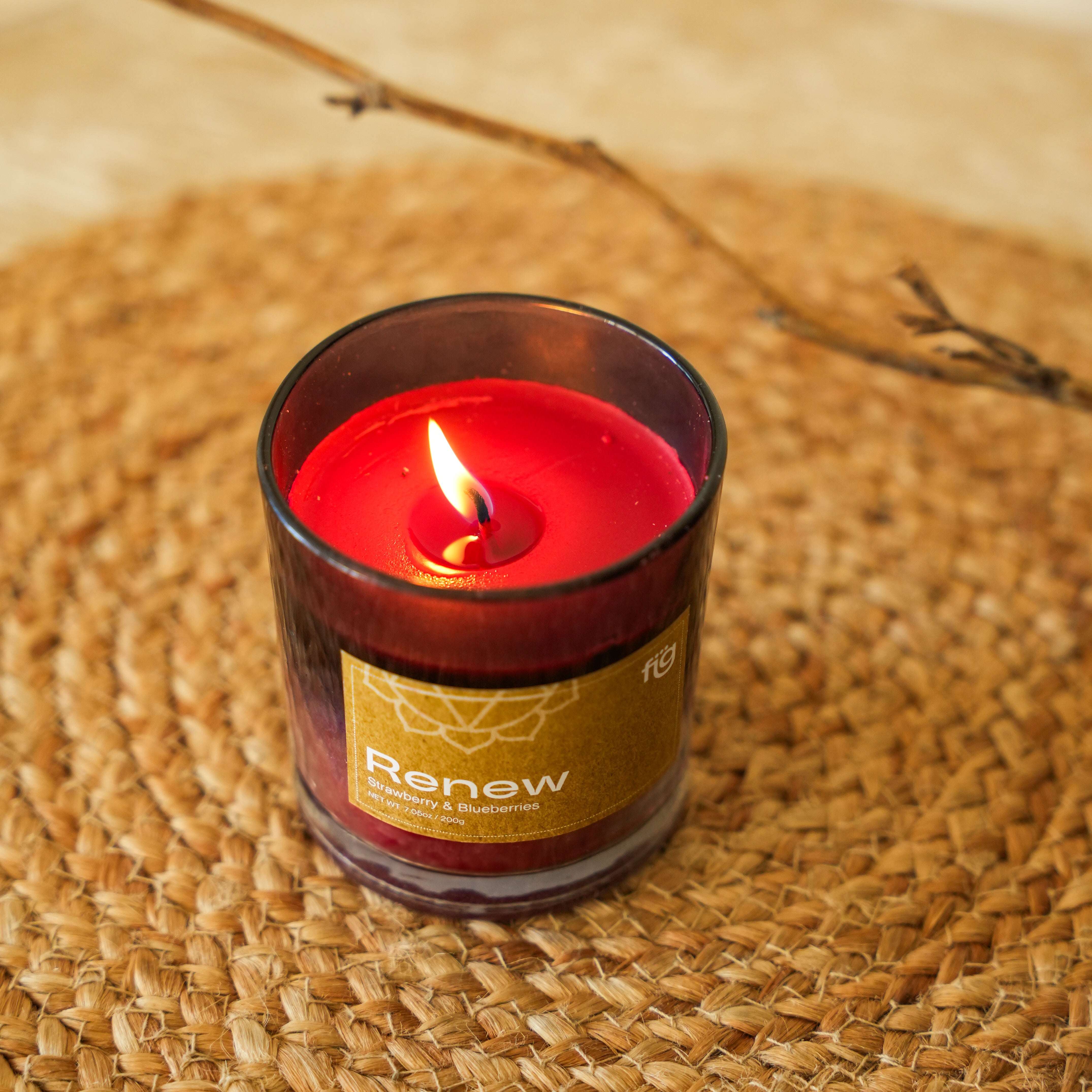 Renew Berries Vegan Scented Candle