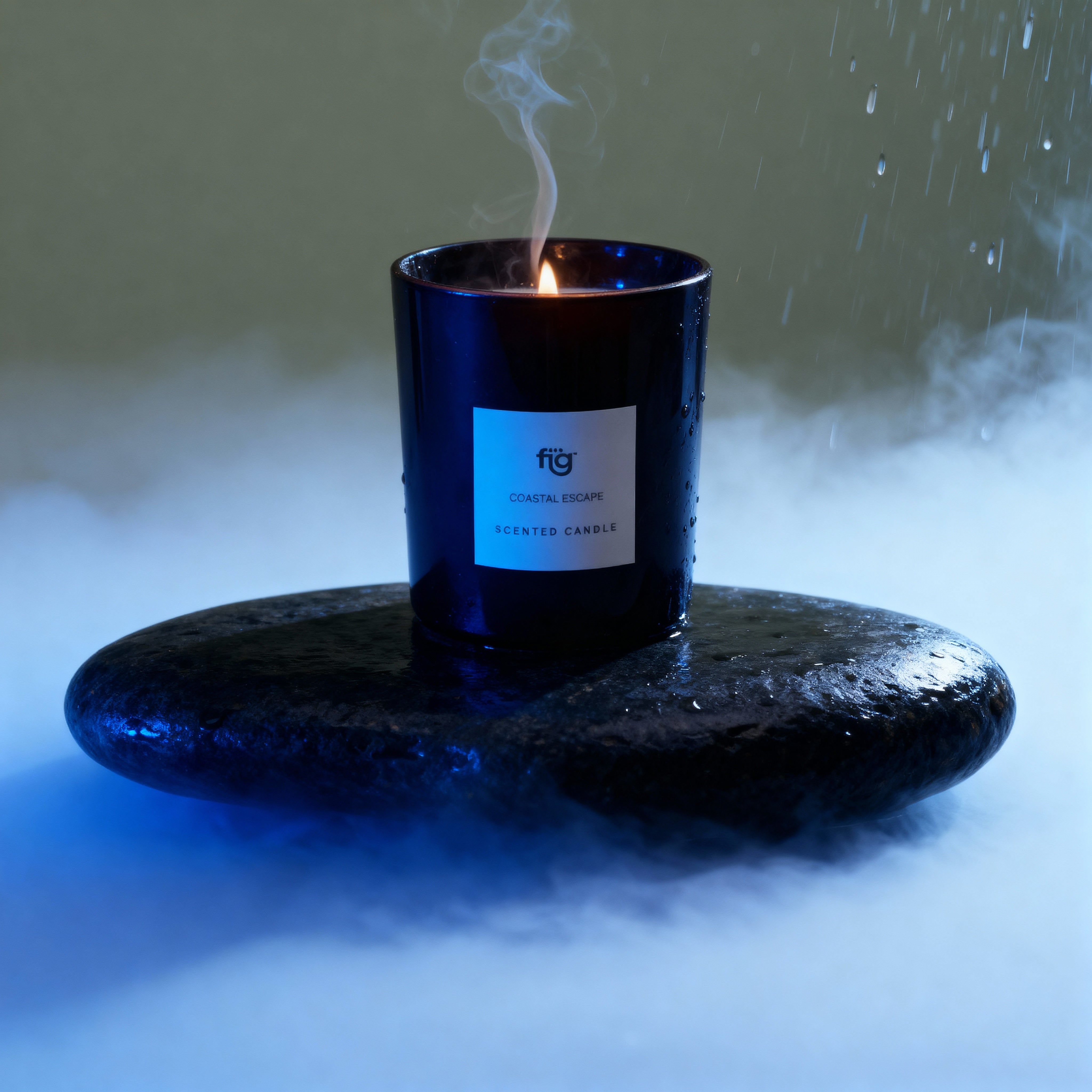FIG COASTAL ESCAPE SCENTED CANDLE