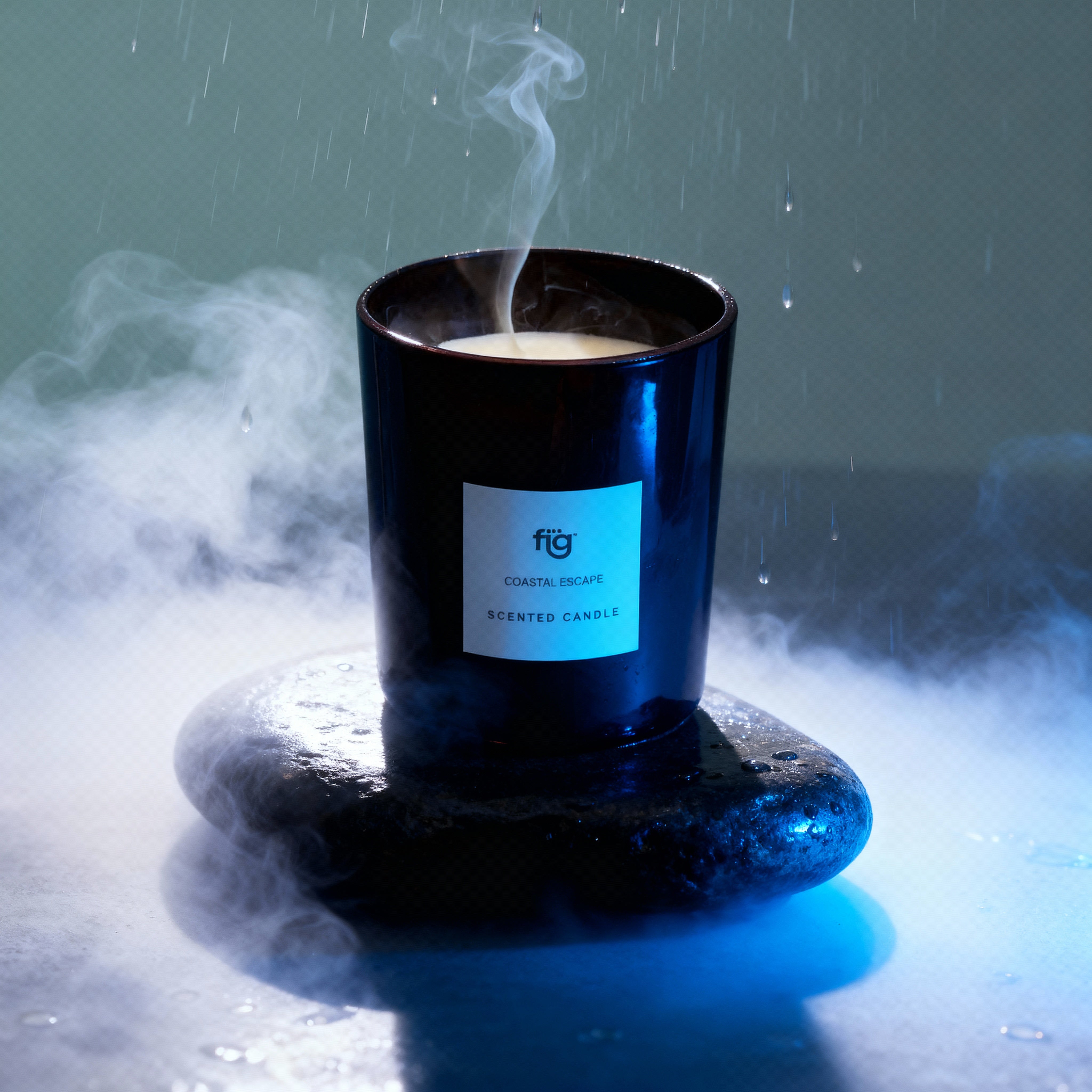 FIG COASTAL ESCAPE SCENTED CANDLE