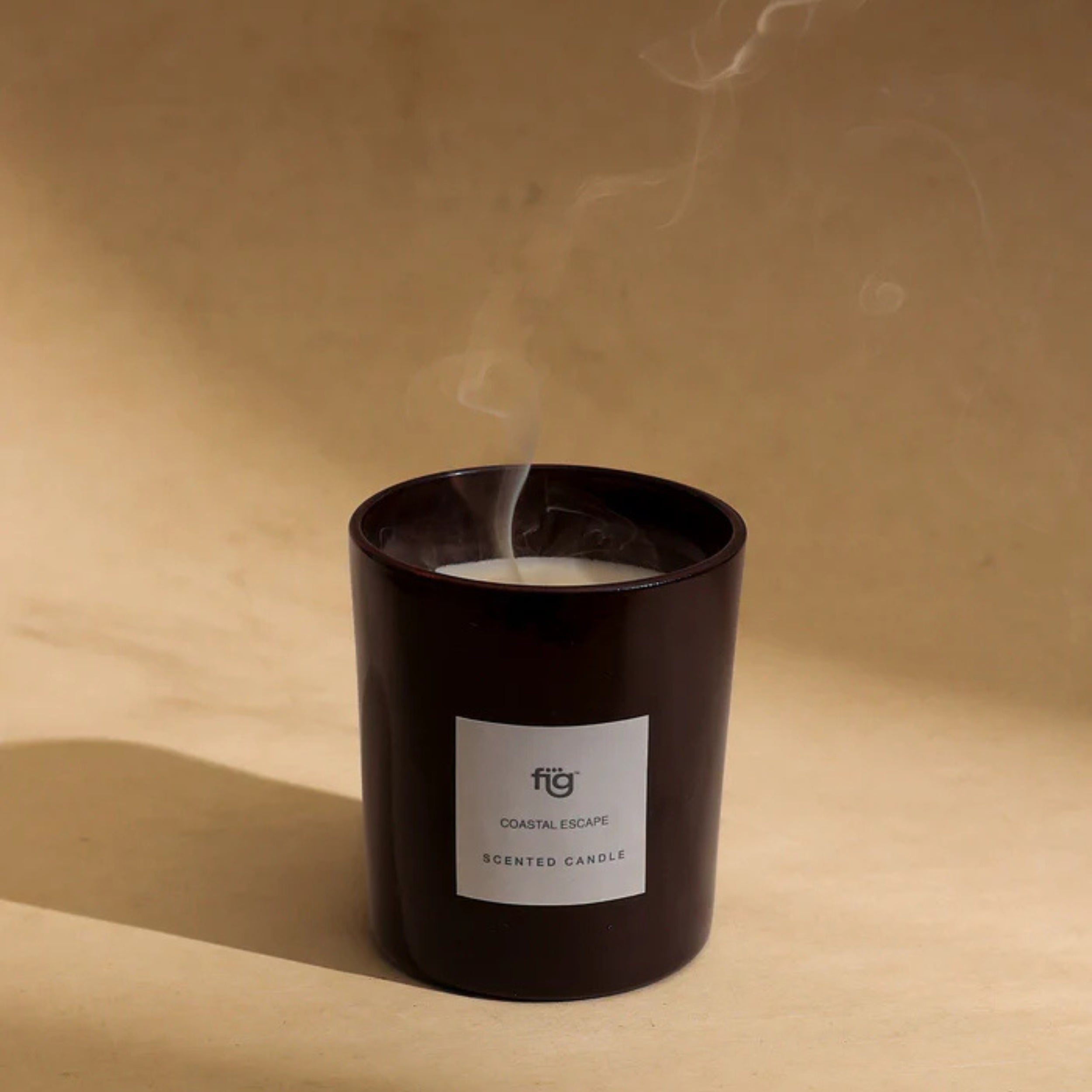 Fig Coastal escape parrafin wax candle