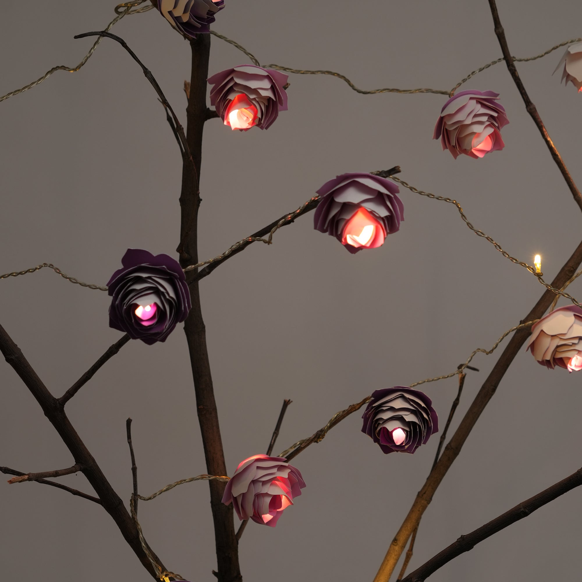 lush bloom string light for decrative home
