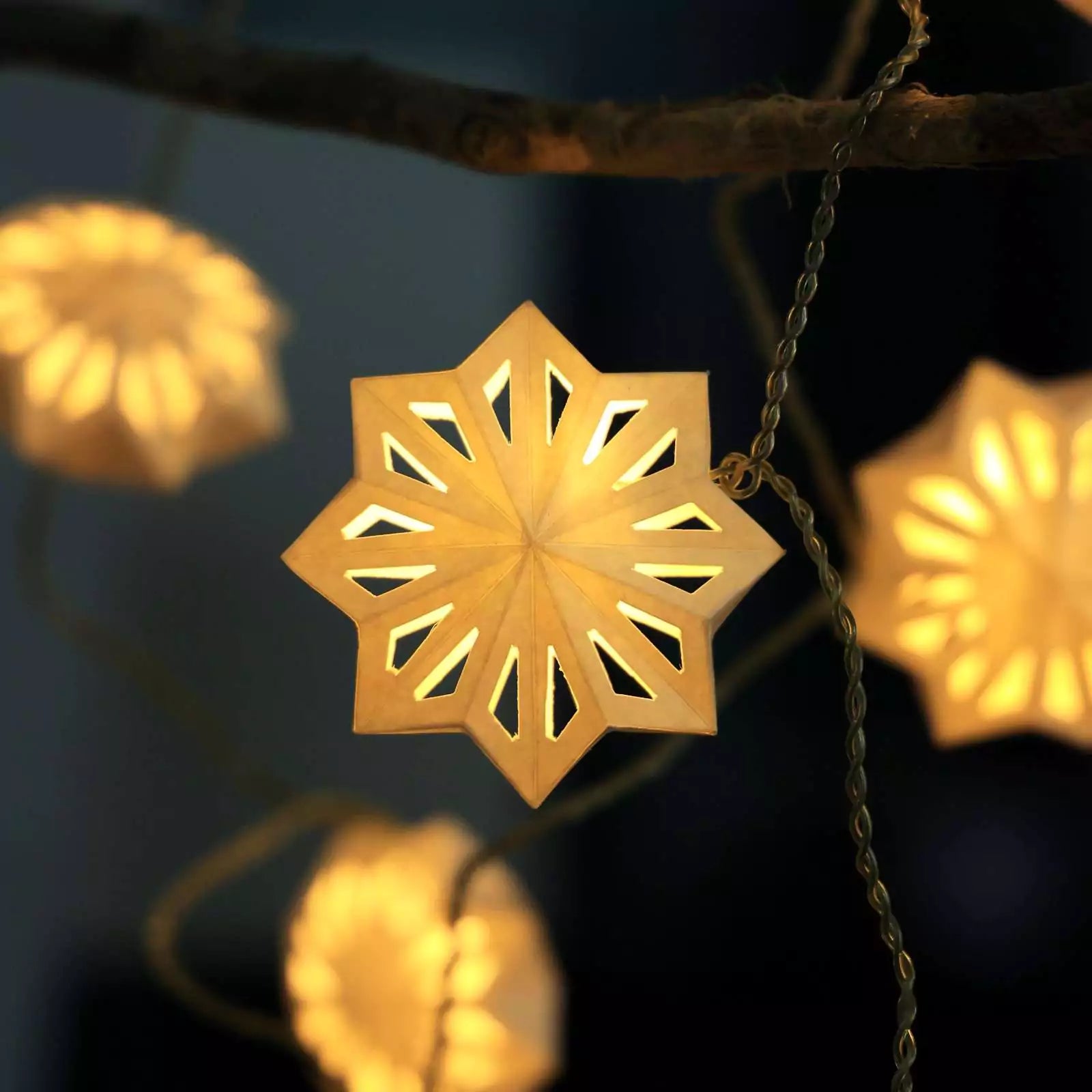 Stellar Lumina String Lights, 20 ornaments, 800cm length