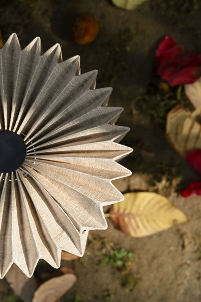 FIG Living: A Beacon of Design and Functionality