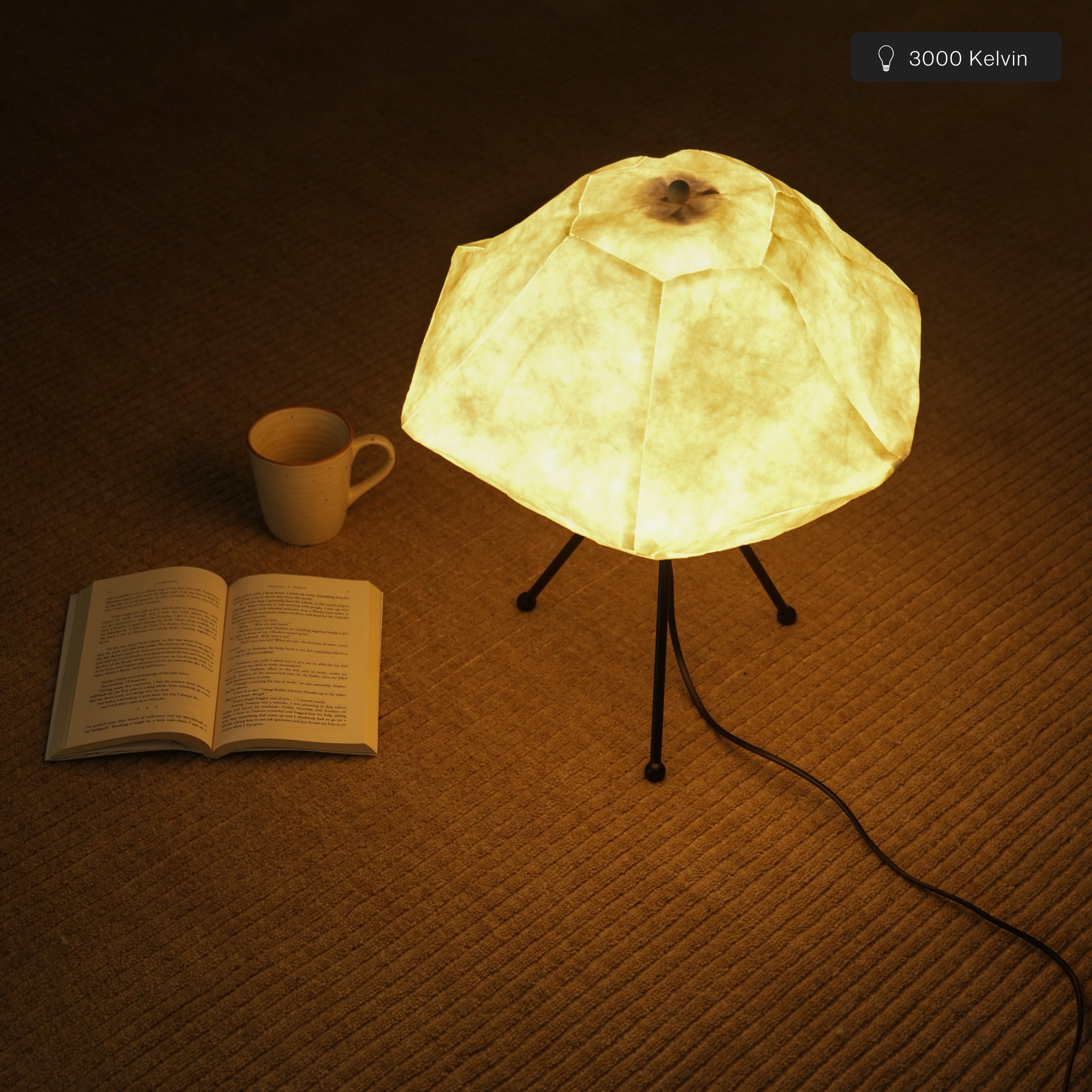 Luna Table Lamp