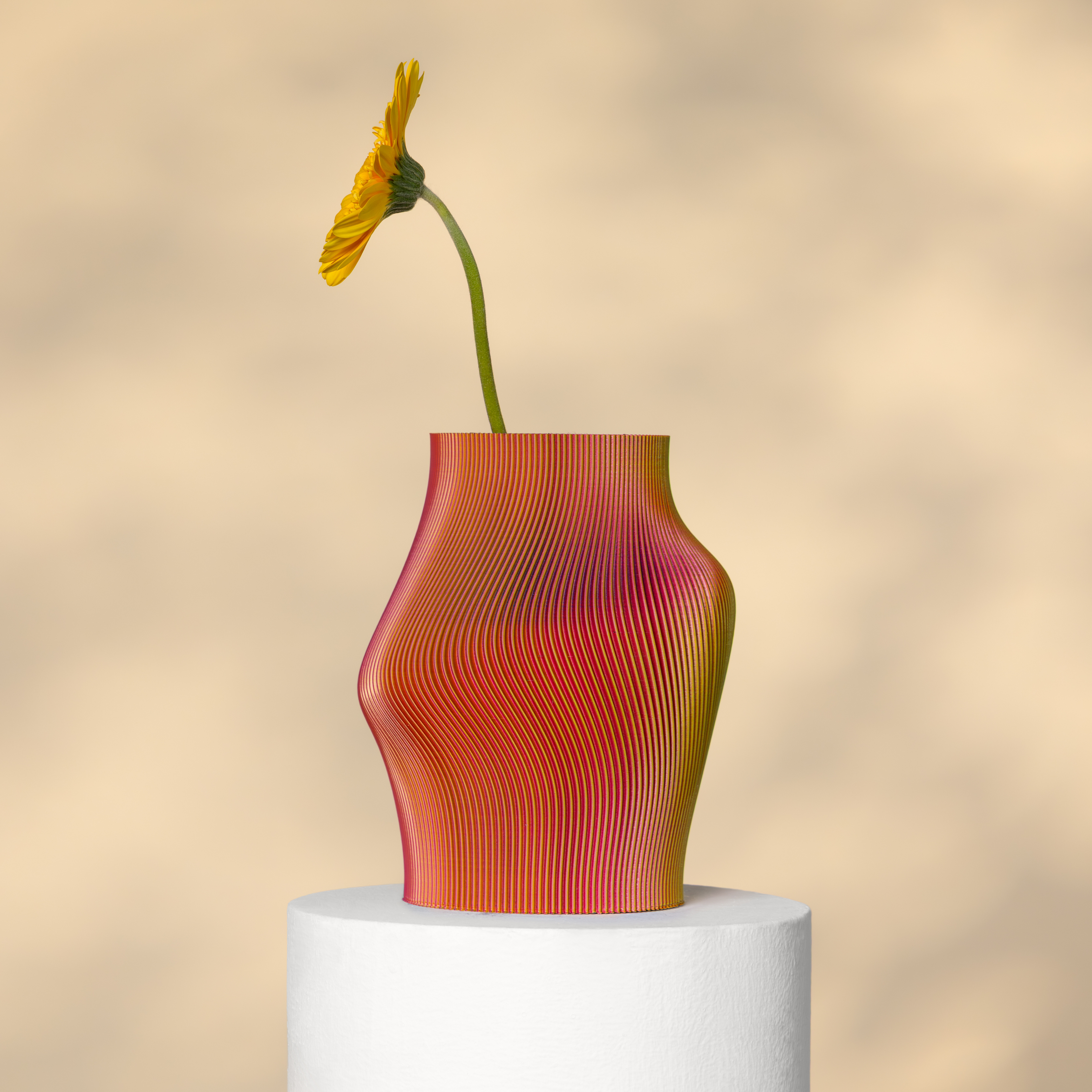 Muse Vase RY - 3D Printed