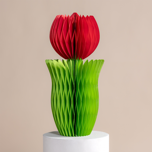 ALBA HONEYCOMB FLOWER POPPY
