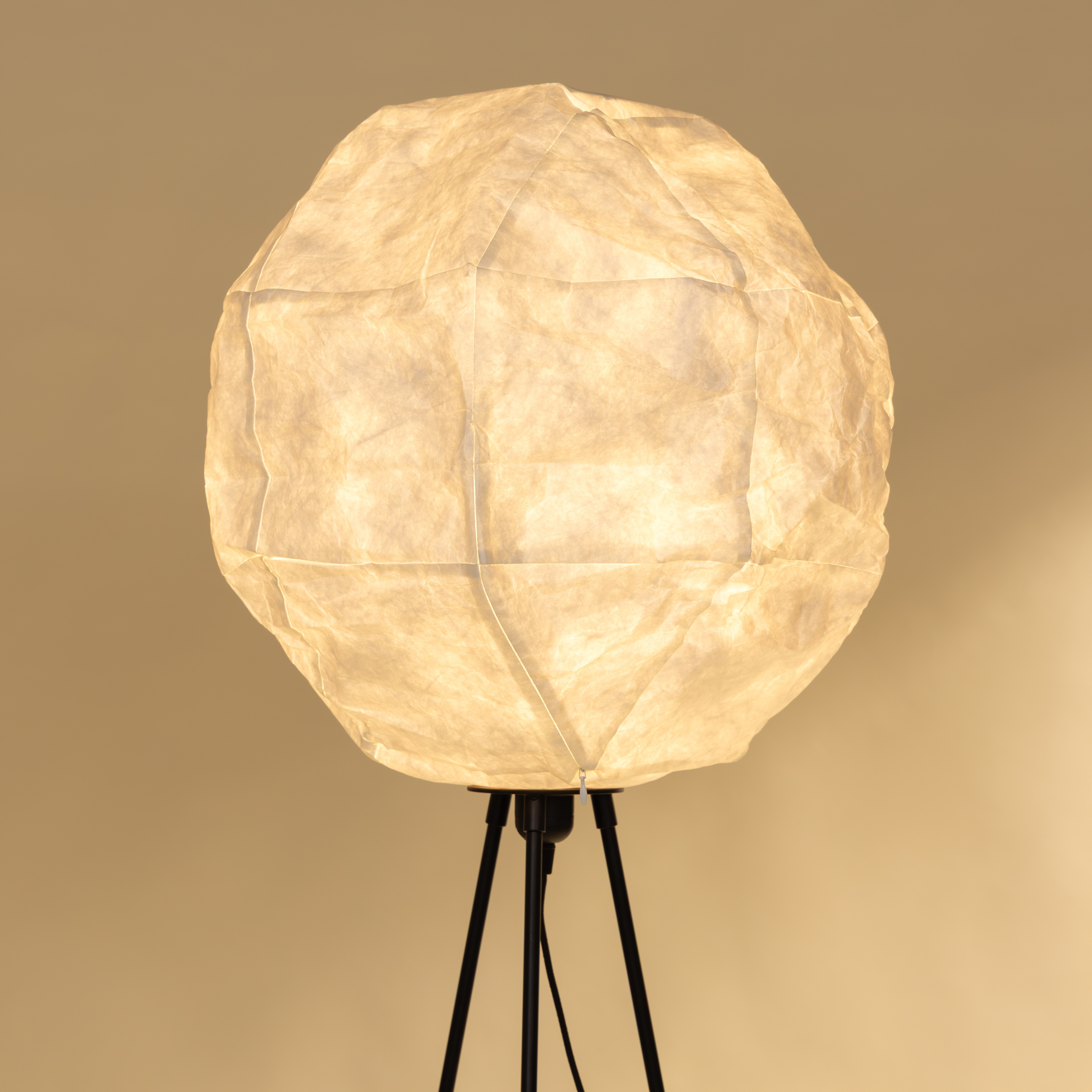 Luna Floor Lamp