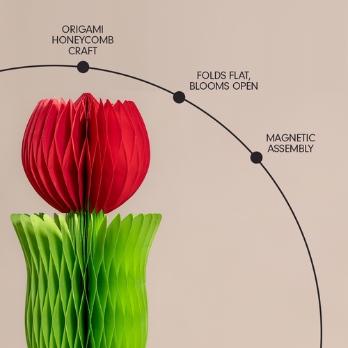 ALBA HONEYCOMB FLOWER POPPY