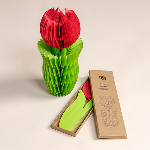 ALBA HONEYCOMB FLOWER POPPY