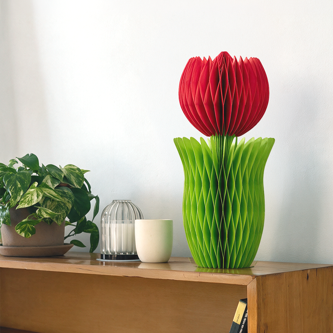 ALBA HONEYCOMB FLOWER POPPY
