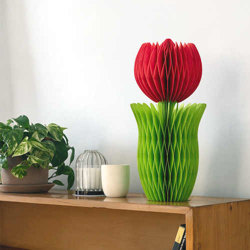 ALBA HONEYCOMB FLOWER POPPY