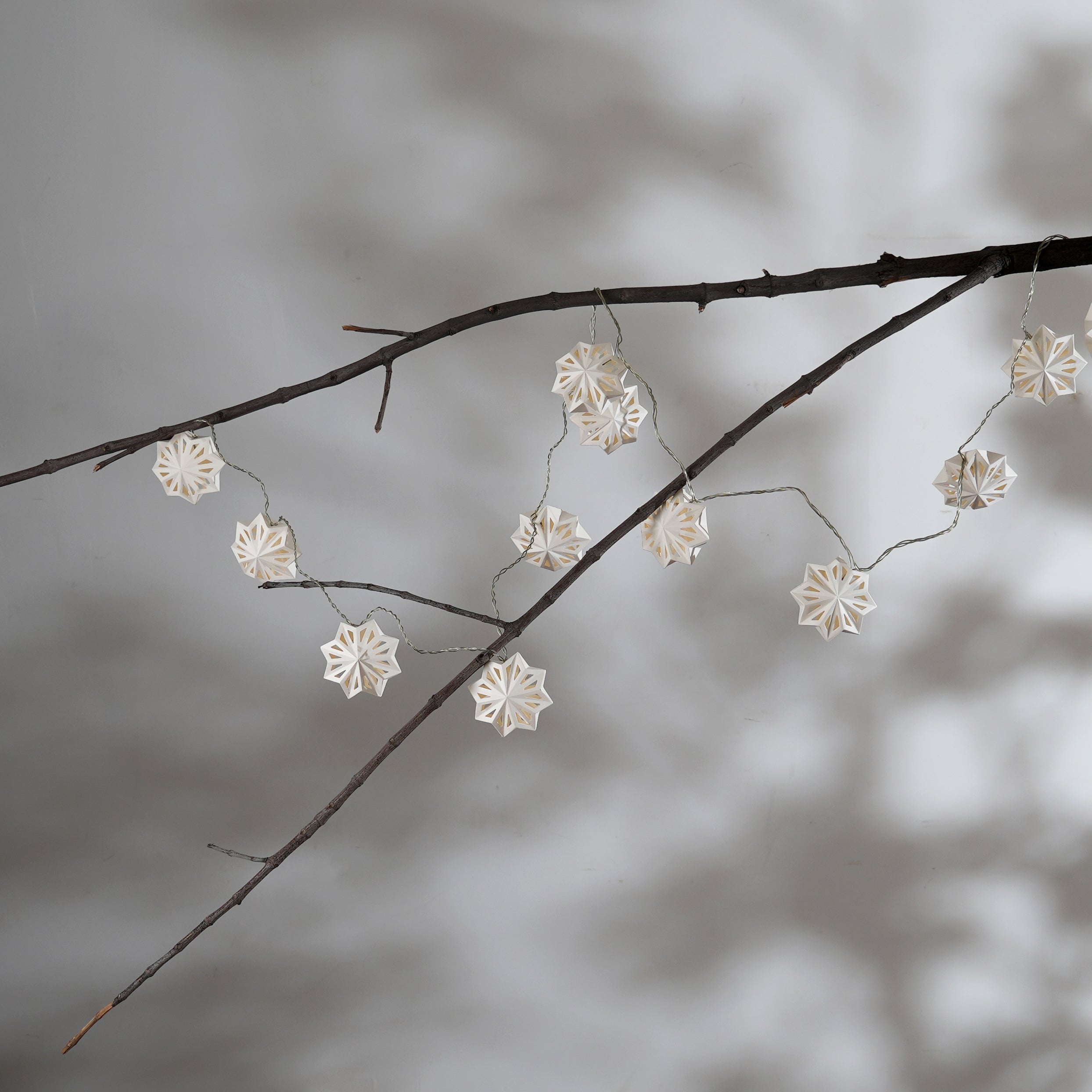 Stellar Lumina String Light