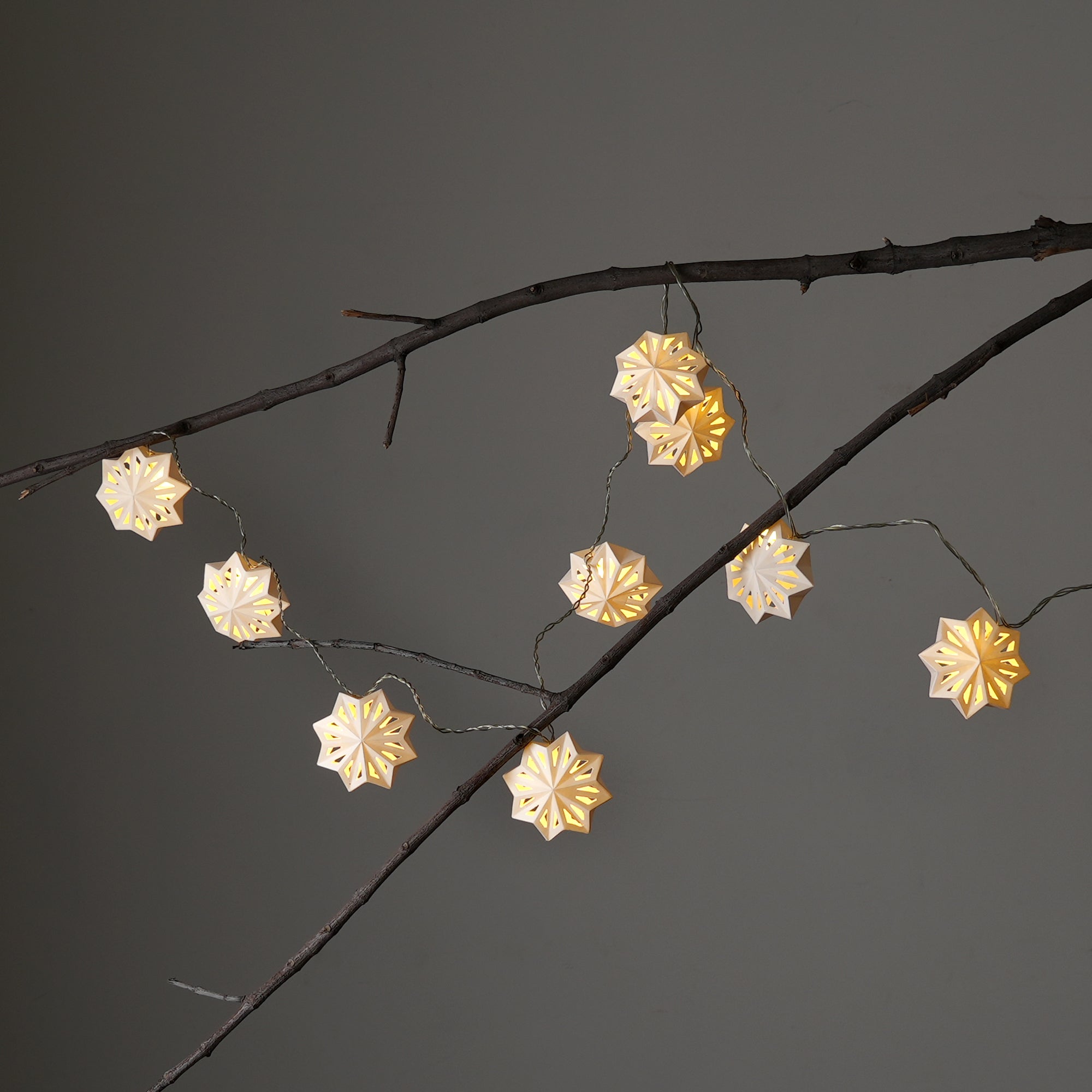 Stellar Lumina String Light