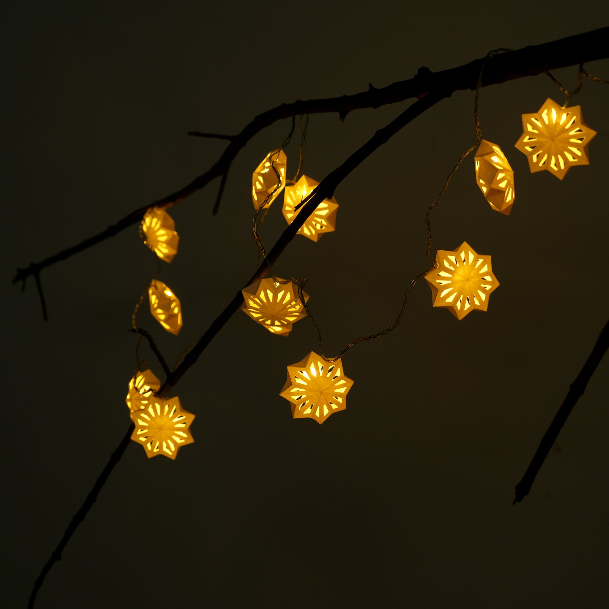 Stellar Lumina String Light