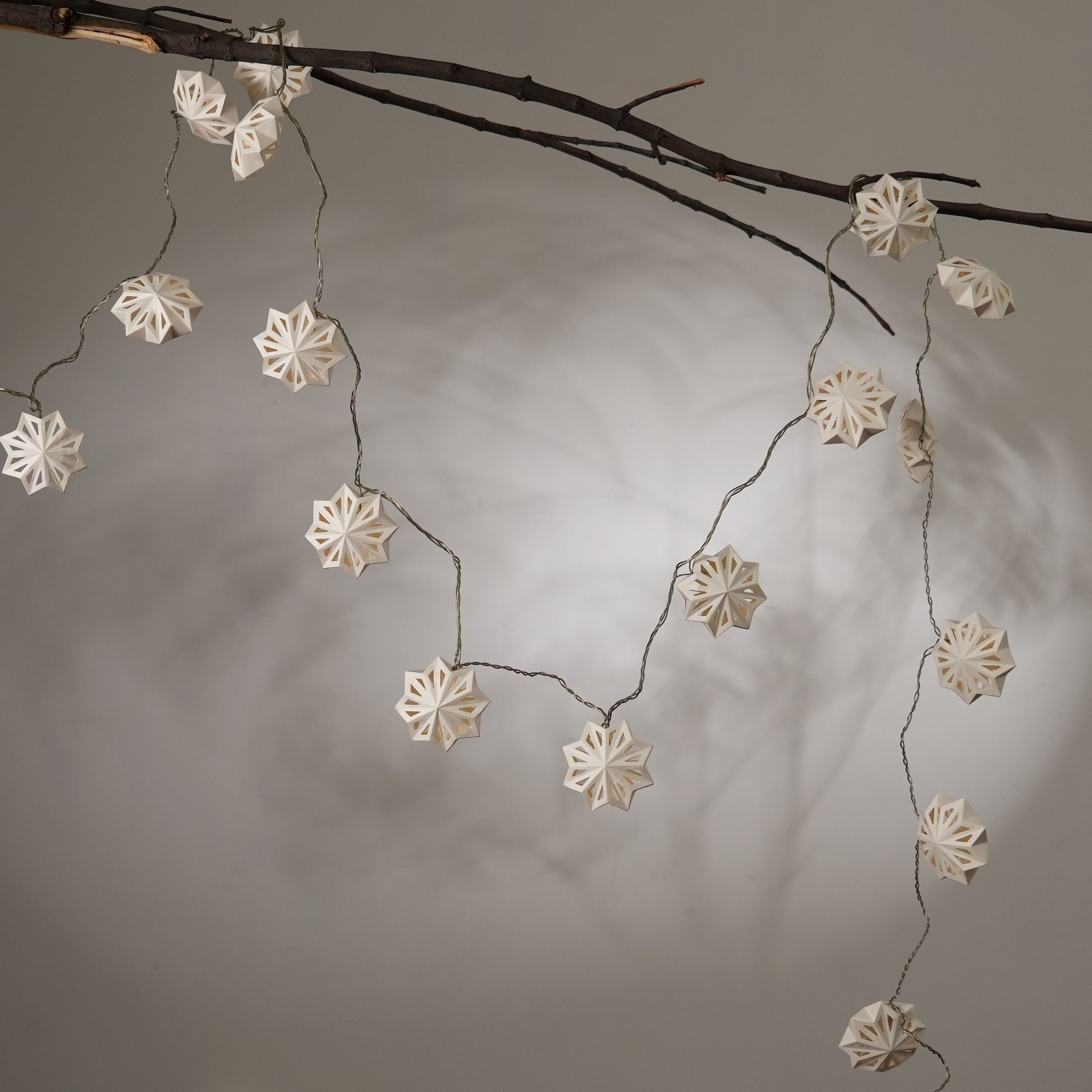 Stellar Lumina String Light