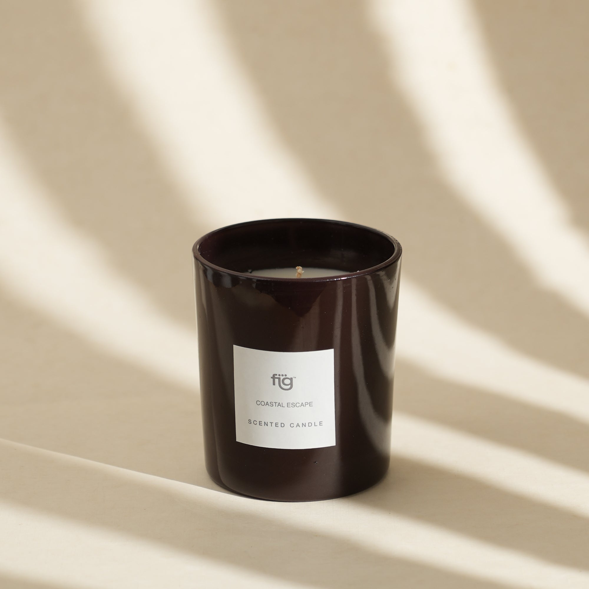 FIG Coastal Escape