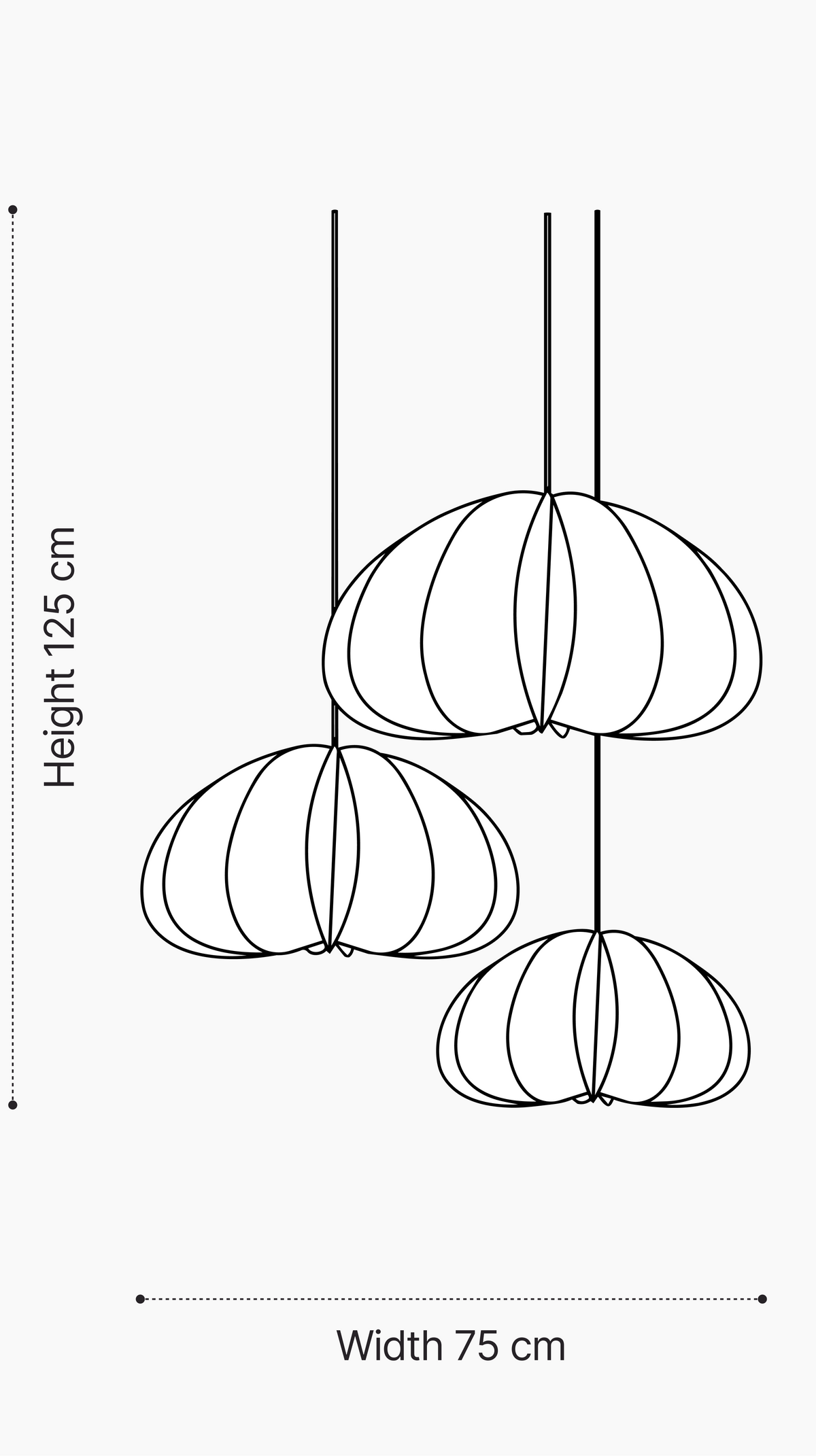See the size in your space