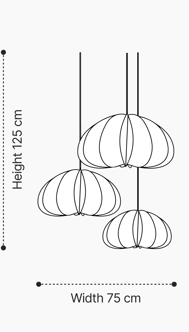 See the size in your space