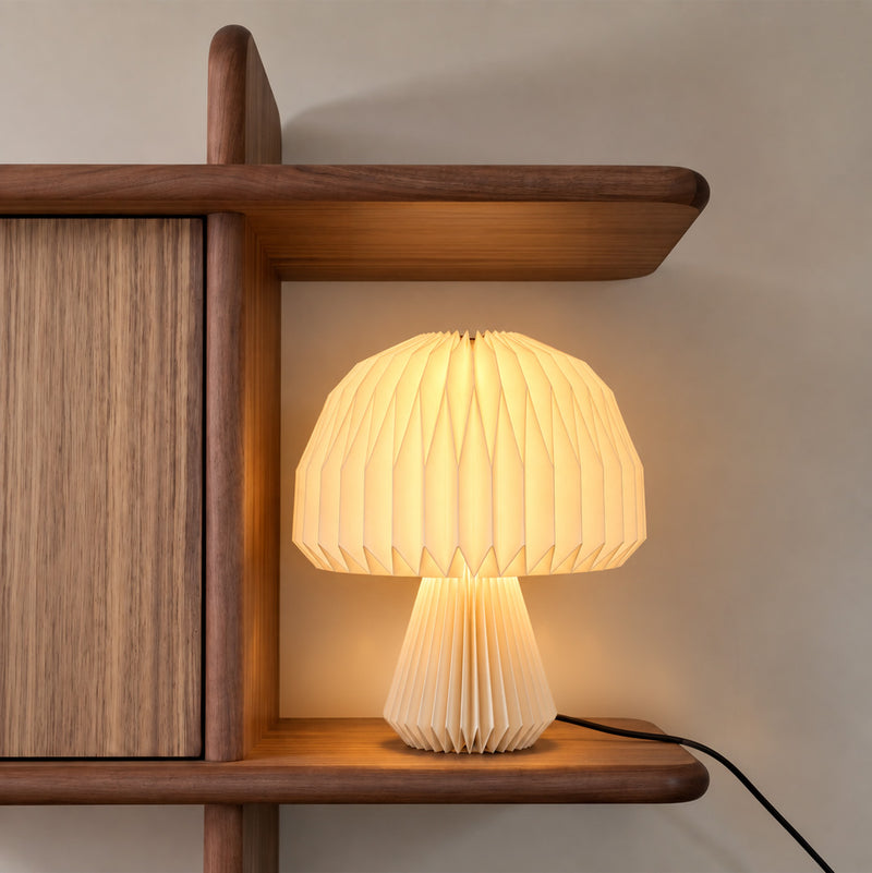 Display Shelf