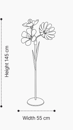 See the size in your space