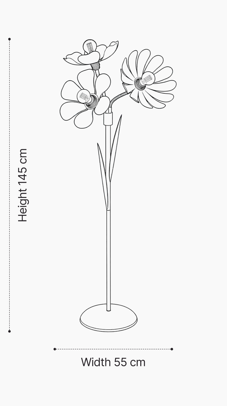 See the size in your space